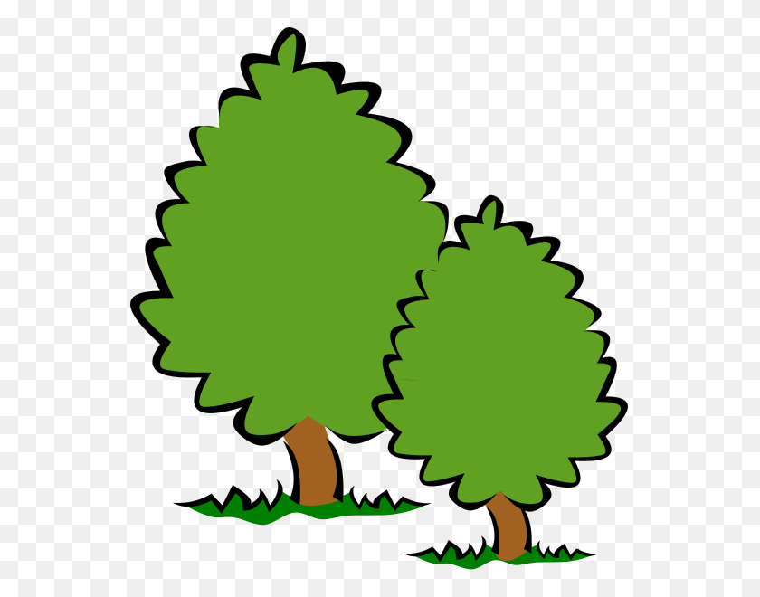 Detail Cypress Tree Clipart Nomer 5