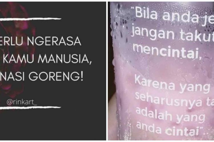 Detail Foto Foto Lucu Dan Gokil Dunia Nomer 25