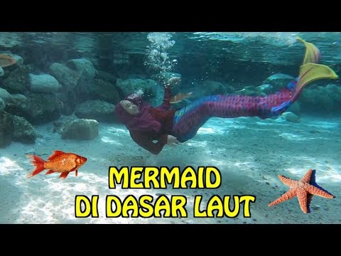 Detail Foto Foto Mermaid Asli Nomer 13