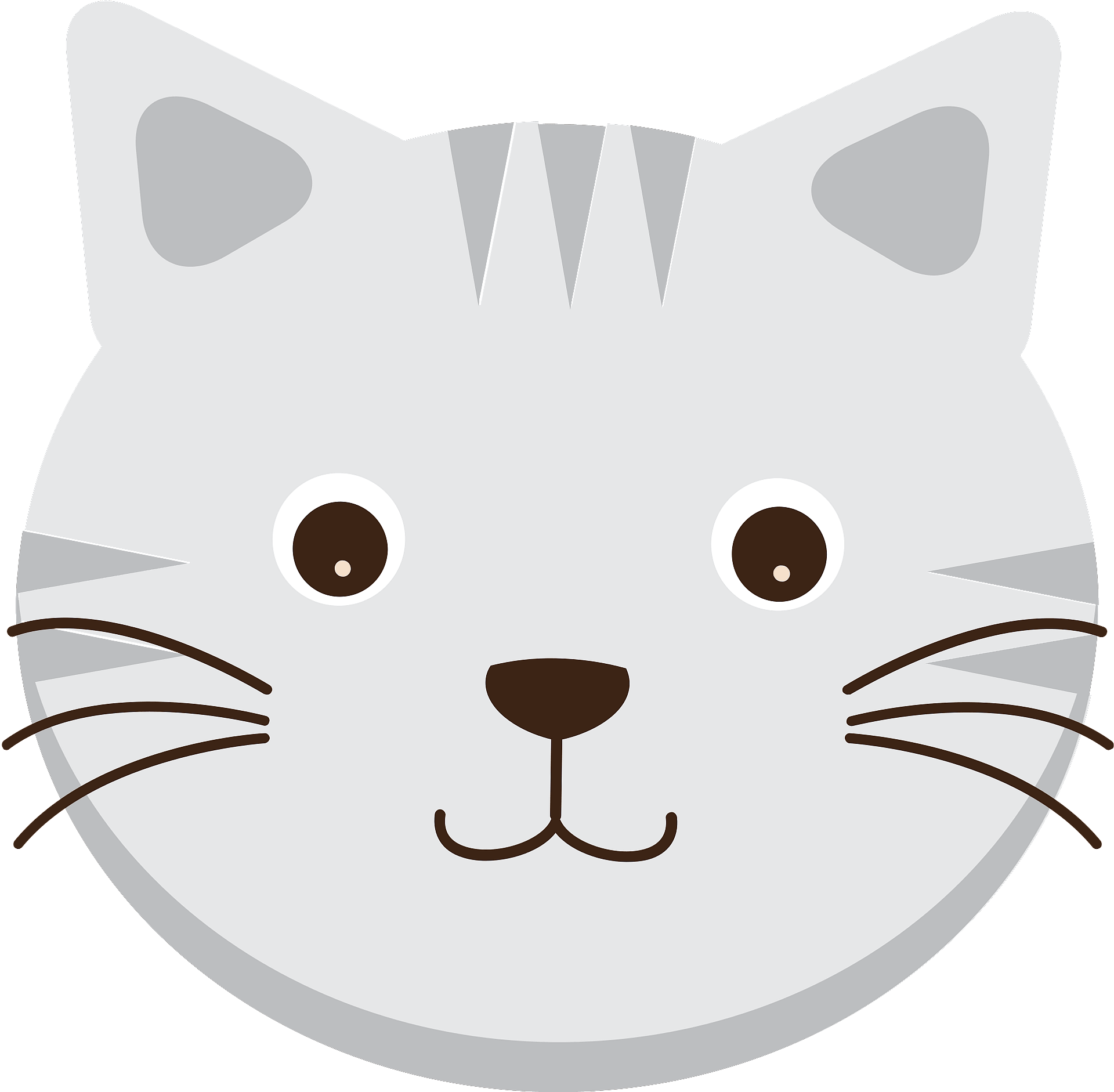 Detail Transparent Cat Face Nomer 3
