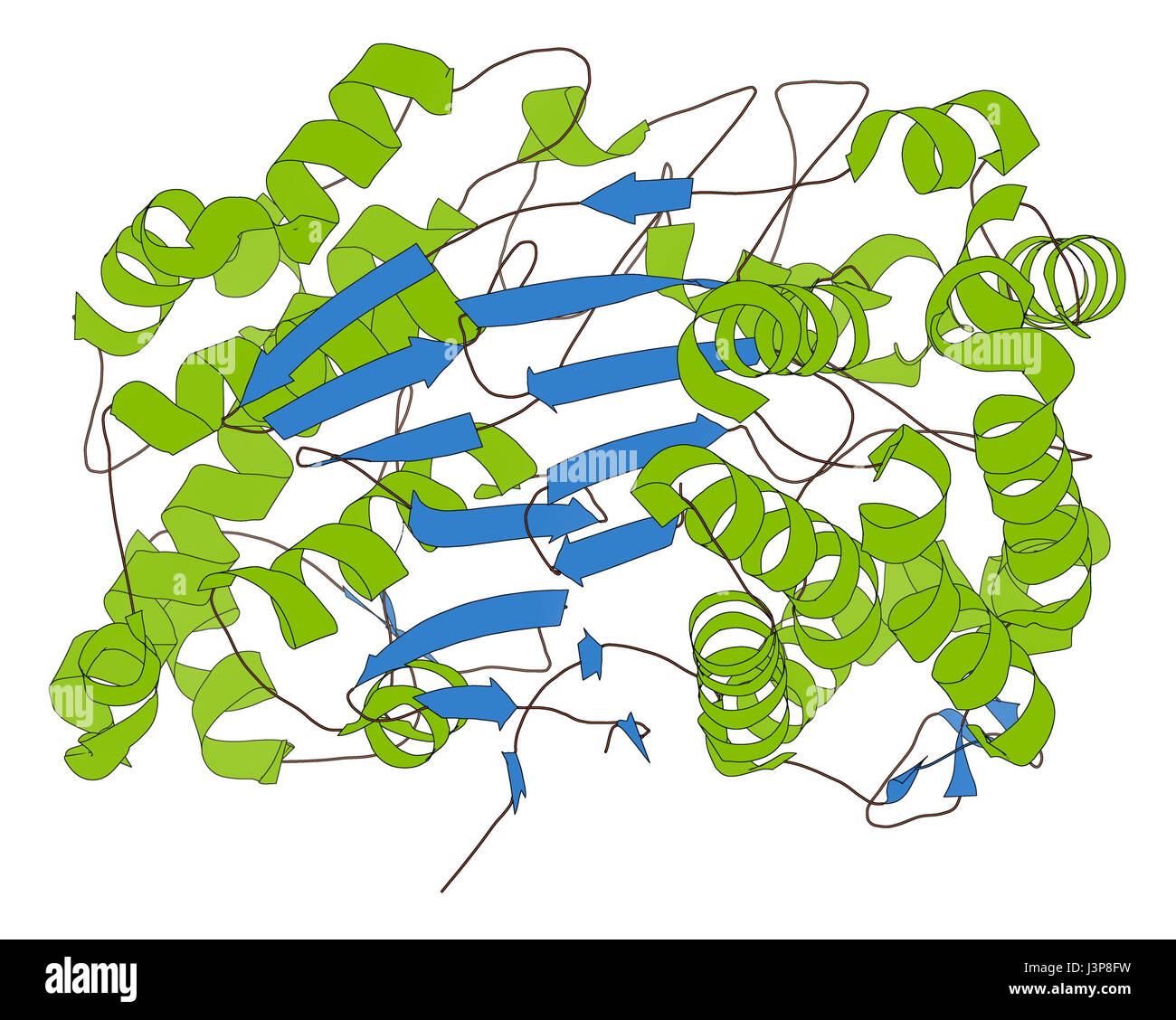 Detail Enzyme Cartoon Nomer 16
