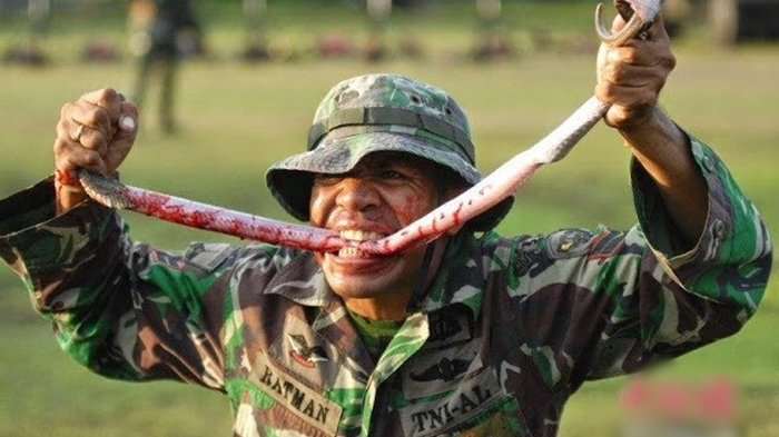 Detail Foto Foto Tentara Indonesia Nomer 8