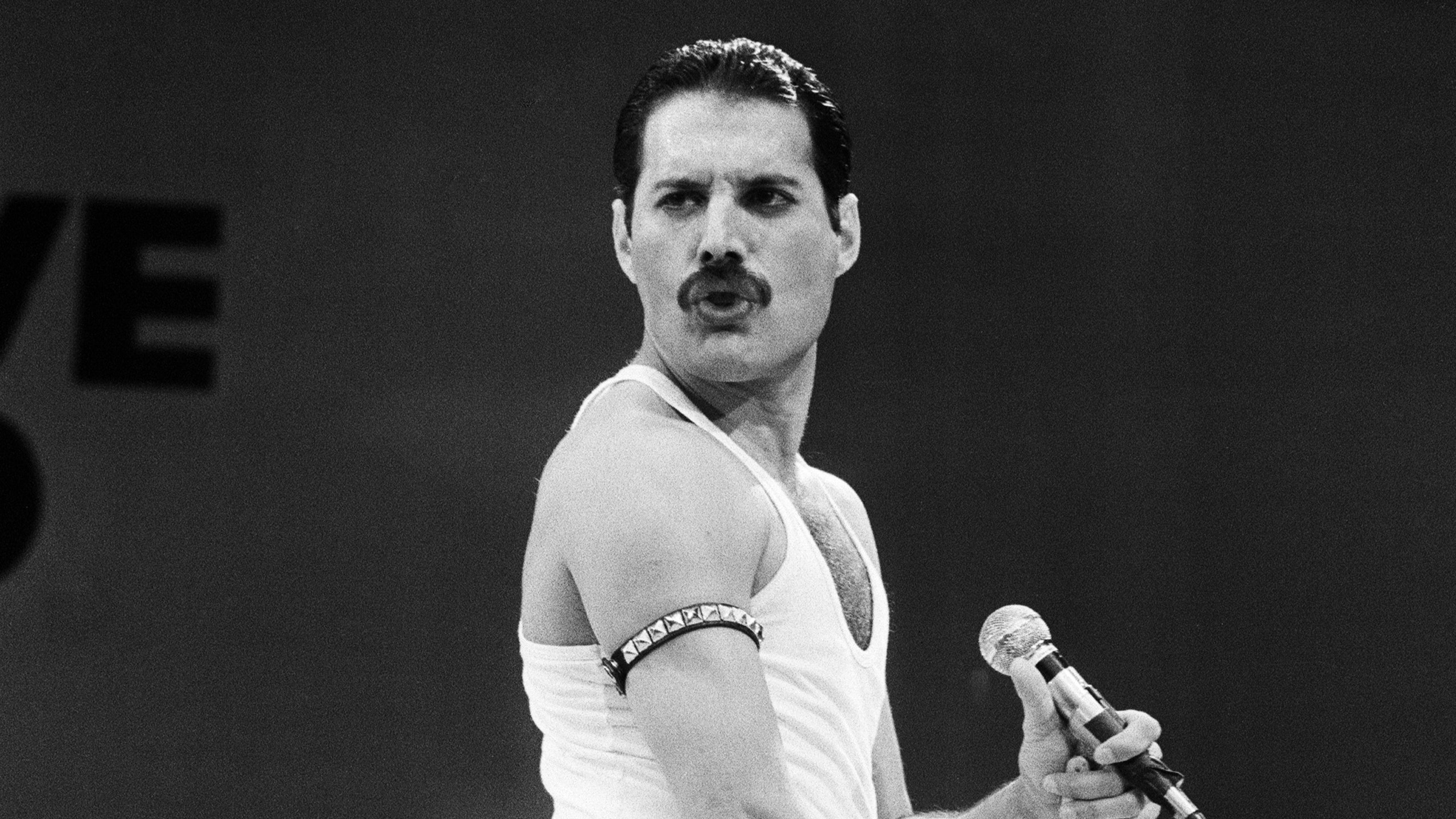 Detail Foto Freddie Mercury Nomer 20