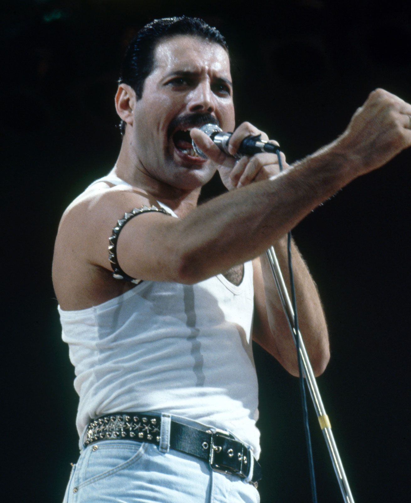 Detail Foto Freddie Mercury Nomer 23