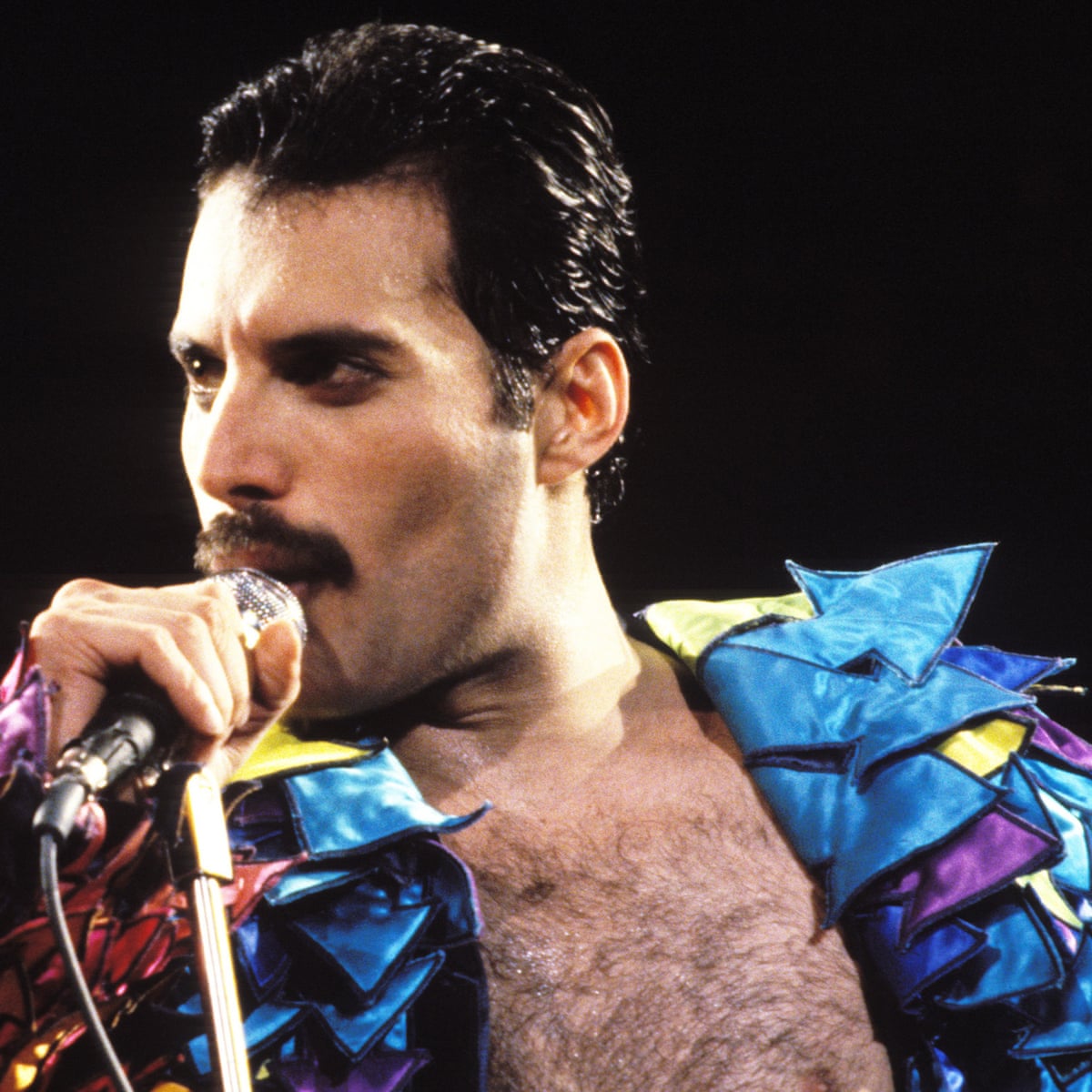 Detail Foto Freddie Mercury Nomer 4