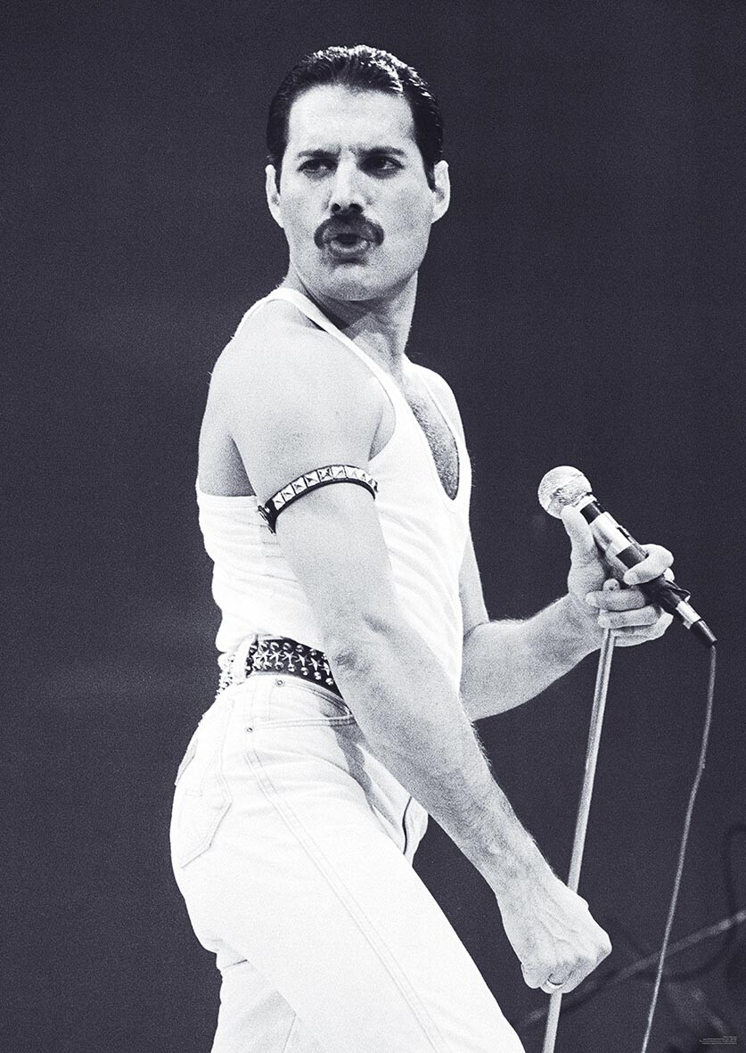 Detail Foto Freddie Mercury Nomer 5