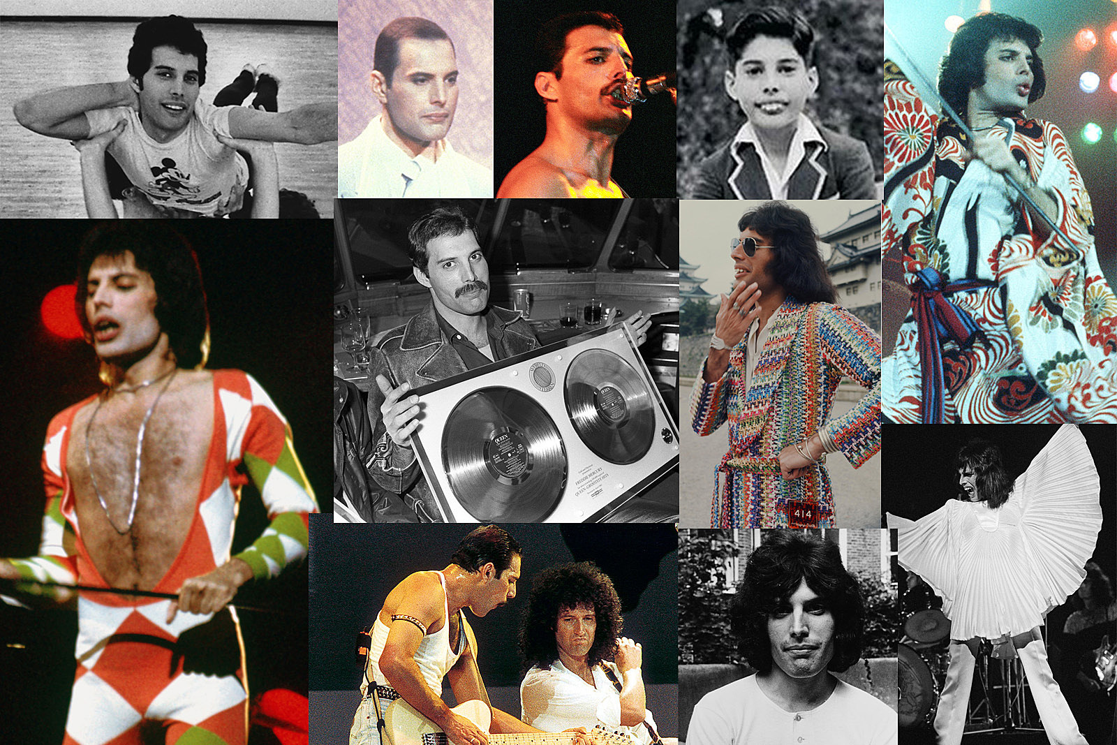 Detail Foto Freddie Mercury Nomer 39