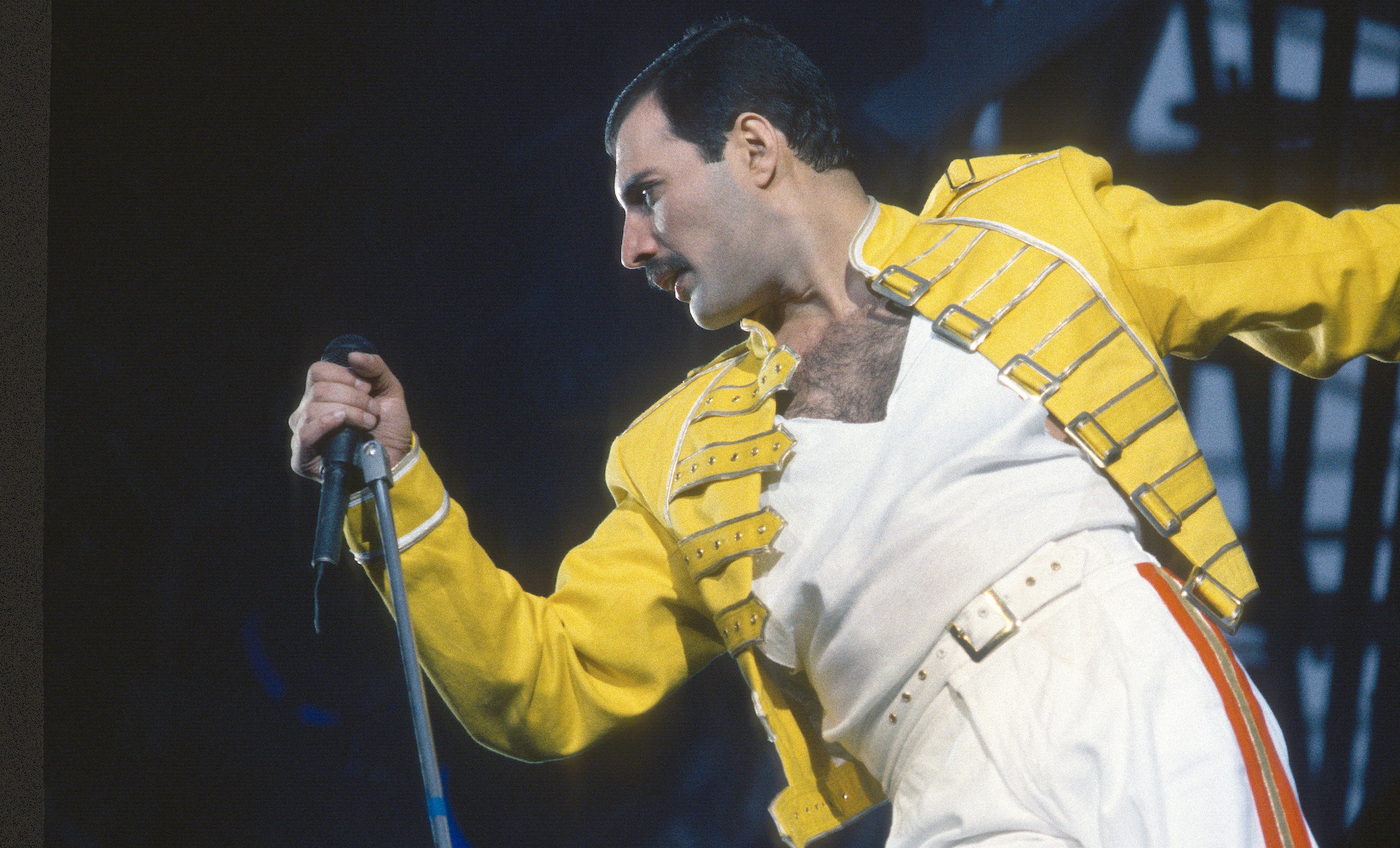Detail Foto Freddie Mercury Nomer 48