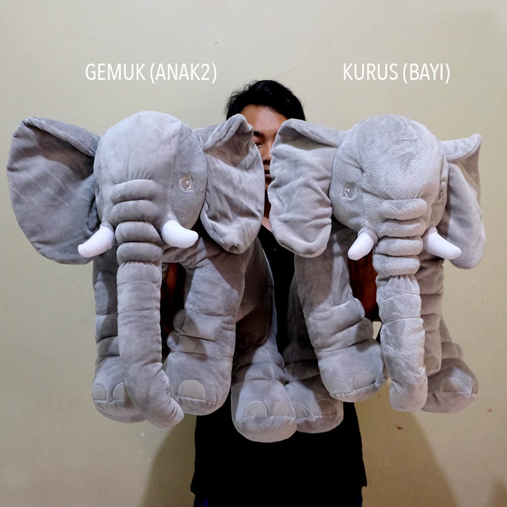 Detail Foto Gajah Lucu Nomer 49