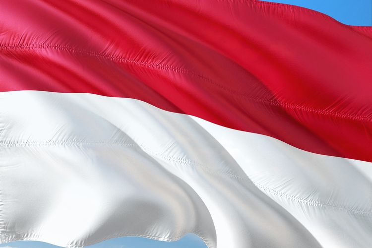 Detail Foto Gambar Bendera Indonesia Nomer 30