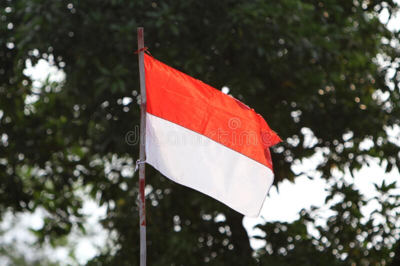 Detail Foto Gambar Bendera Indonesia Nomer 40