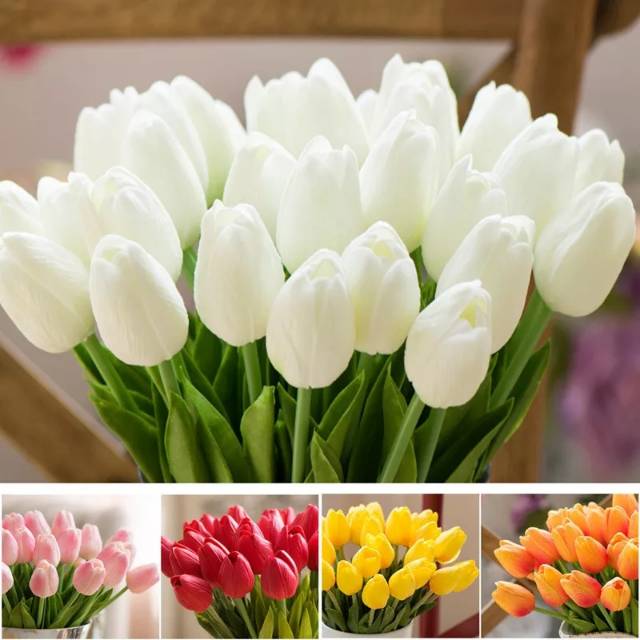 Detail Foto Gambar Bunga Tulip Nomer 15