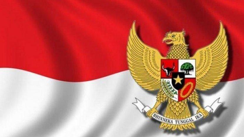 Detail Foto Gambar Garuda Pancasila Nomer 41