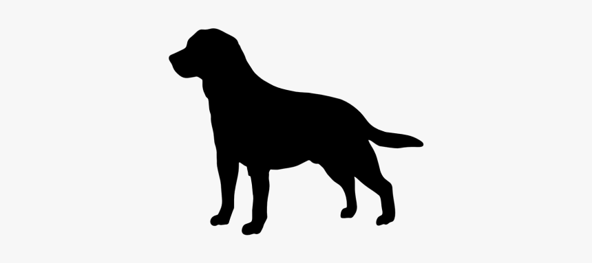 Detail Labrador Clipart Nomer 17