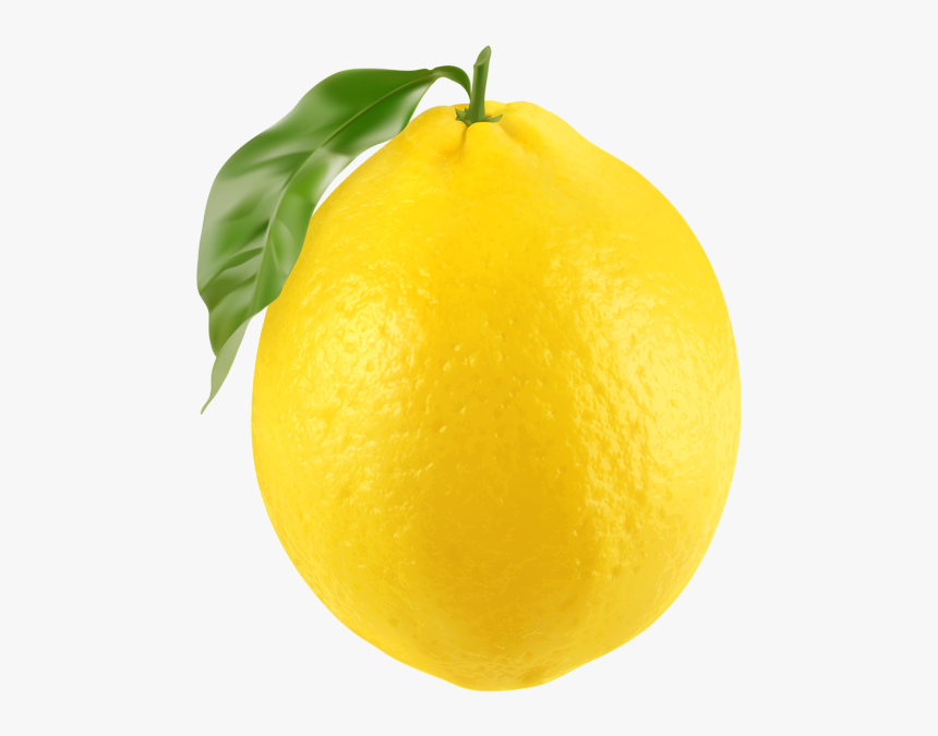 Detail Lemon Clipart Nomer 6