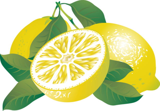 Detail Lemon Clipart Nomer 14