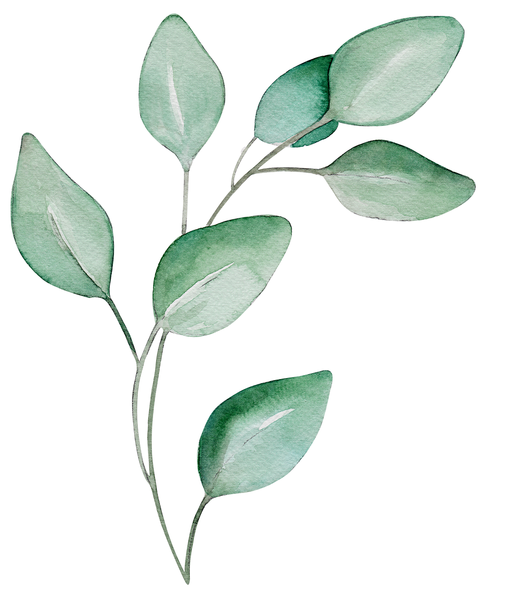 Detail Eukalyptus Grafik Kostenlos Nomer 10
