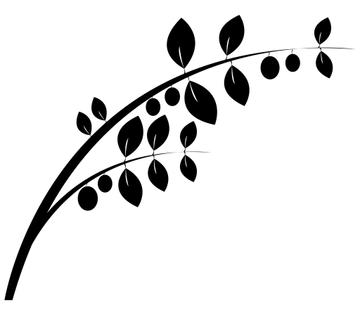 Detail Eukalyptus Grafik Kostenlos Nomer 14