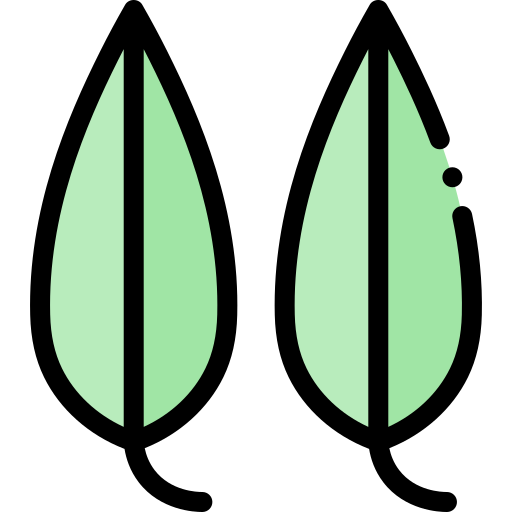 Detail Eukalyptus Grafik Kostenlos Nomer 2