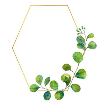 Detail Eukalyptus Grafik Kostenlos Nomer 21