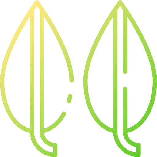 Detail Eukalyptus Grafik Kostenlos Nomer 24