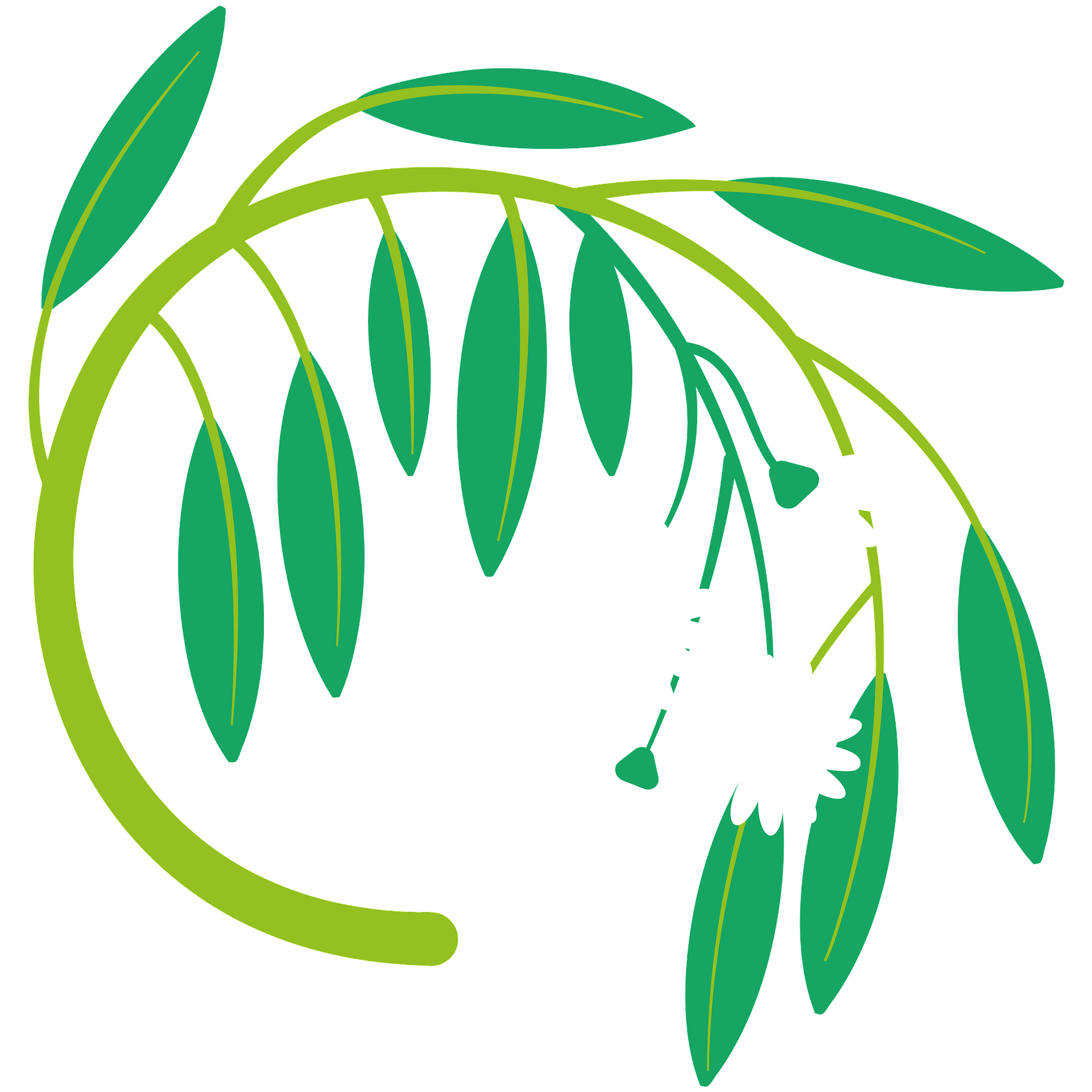 Detail Eukalyptus Grafik Kostenlos Nomer 7