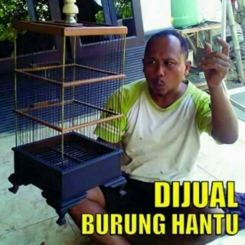 Detail Foto Gambar Lucu Bikin Ketawa Nomer 22