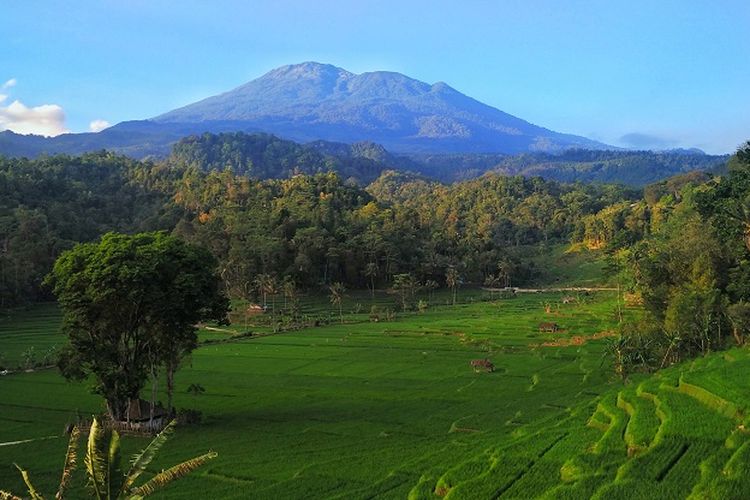 Detail Foto Gambar Pemandangan Gunung Nomer 8