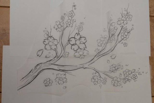 Detail Foto Gambar Sketsa Bunga Sakura Nomer 15