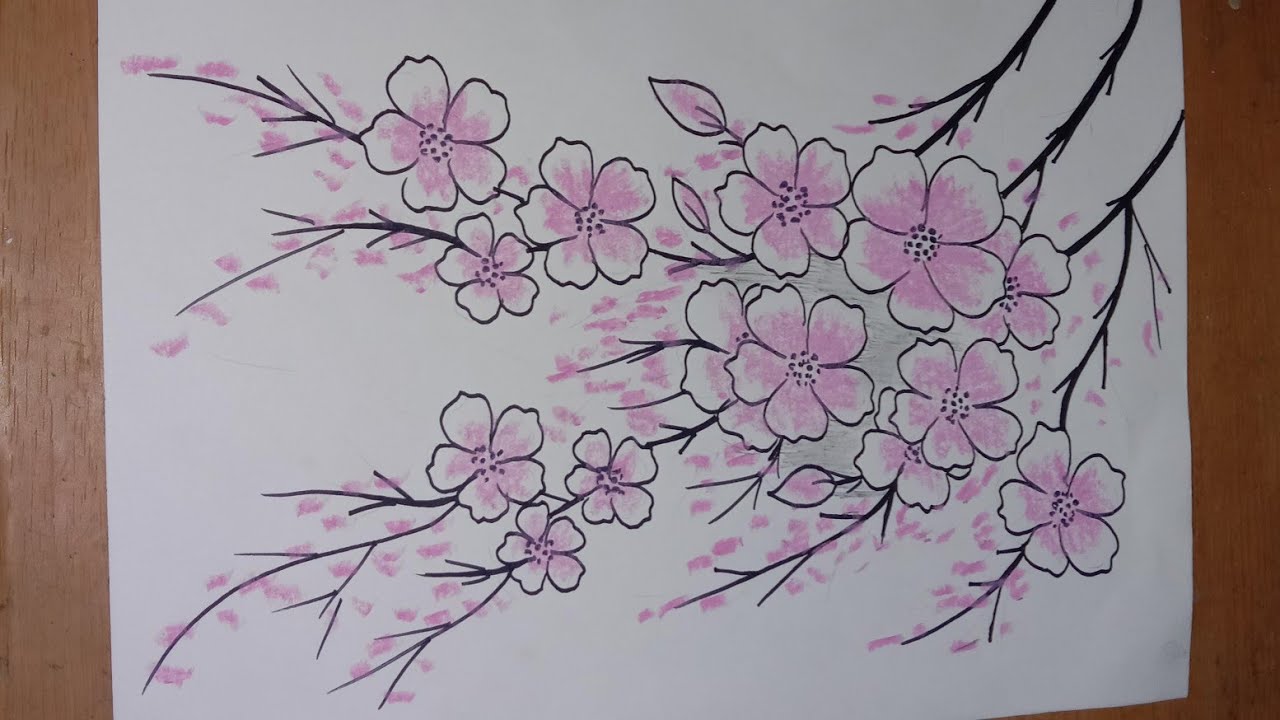 Detail Foto Gambar Sketsa Bunga Sakura Nomer 26