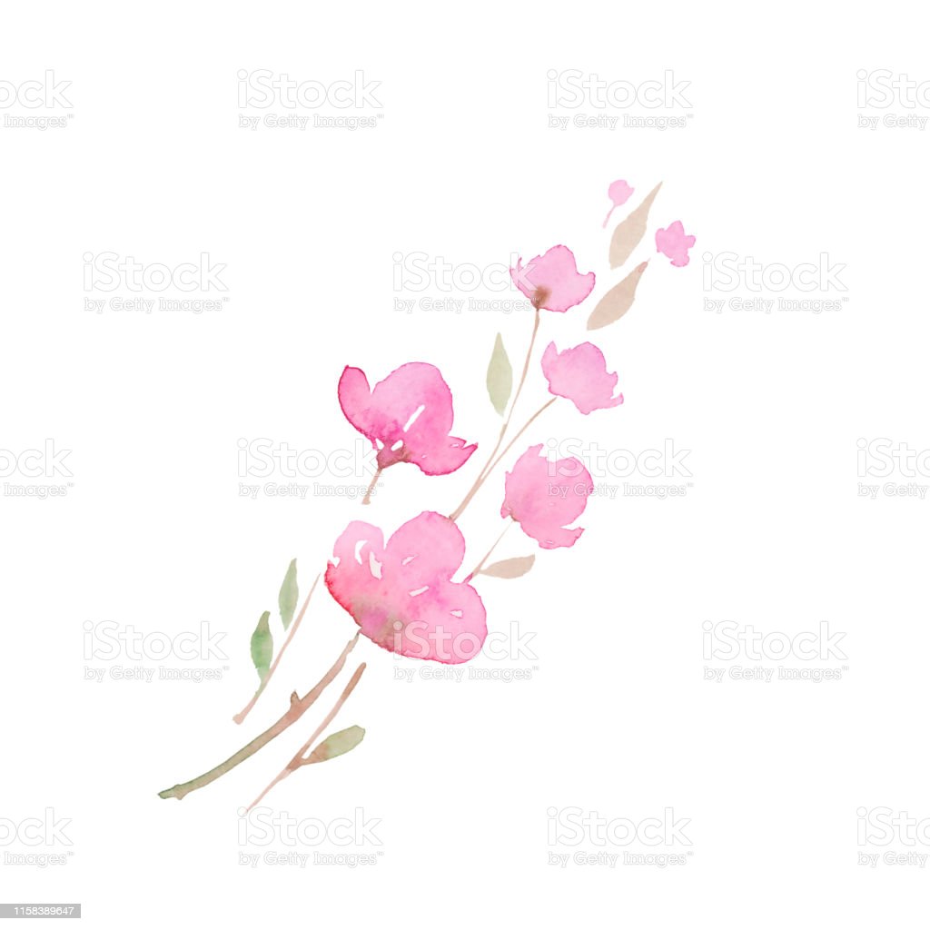 Detail Foto Gambar Sketsa Bunga Sakura Nomer 35