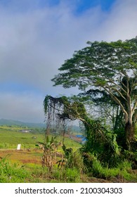 Detail Foto Gambaran Pemandangan Nomer 40