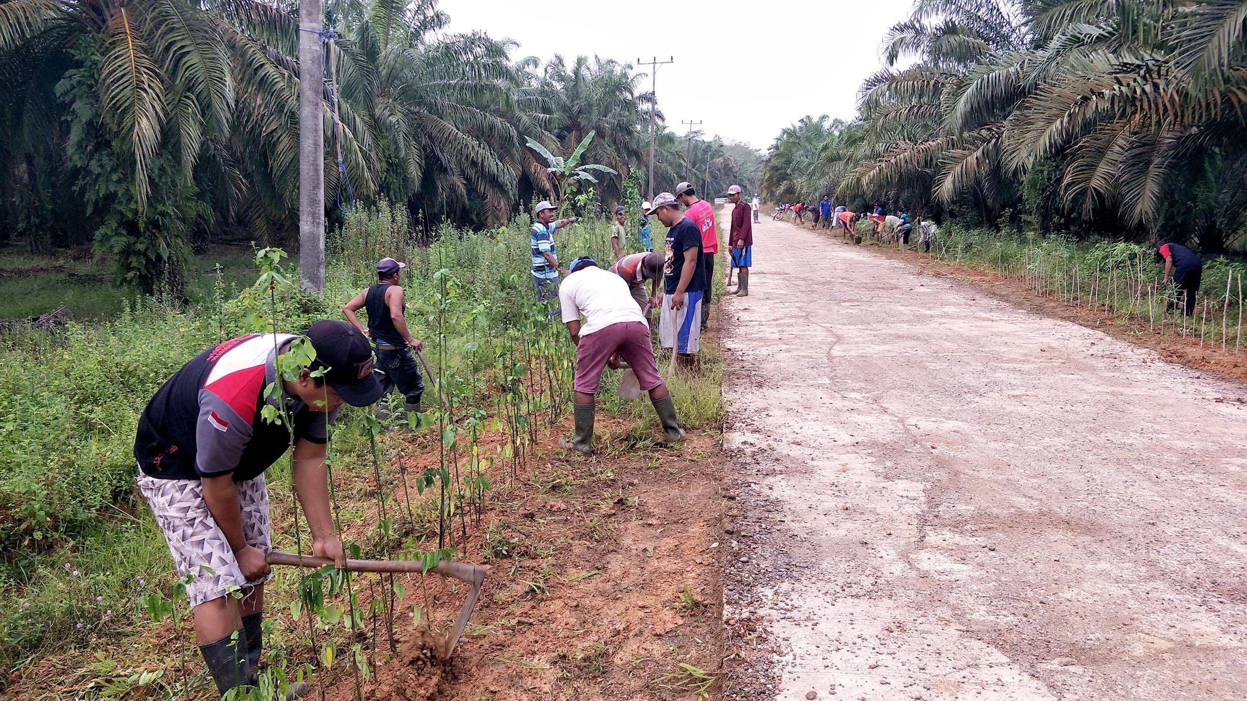 Detail Foto Gotong Royong Nomer 23