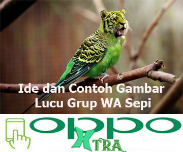 Detail Foto Grup Lucu Nomer 47