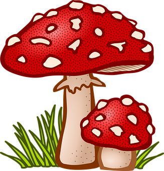 Detail Pilz Clipart Nomer 3