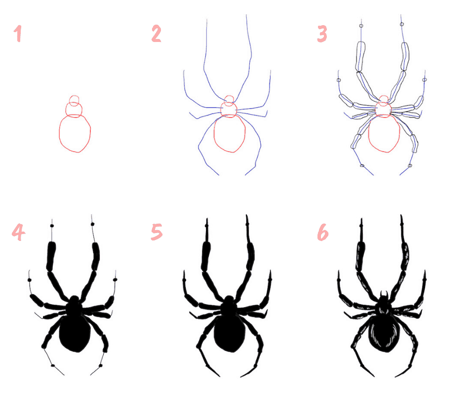 Detail Spinne Im Netz Zeichnen Nomer 7