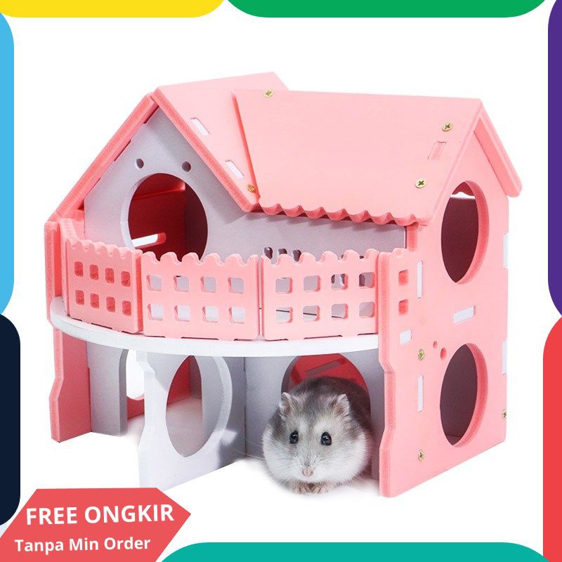 Detail Foto Hamster Lucu Nomer 36