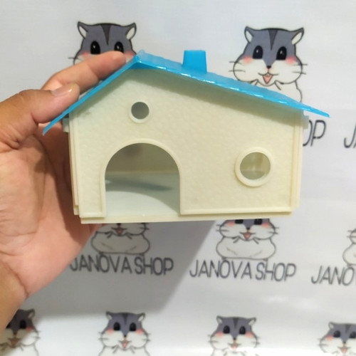 Detail Foto Hamster Lucu Nomer 55