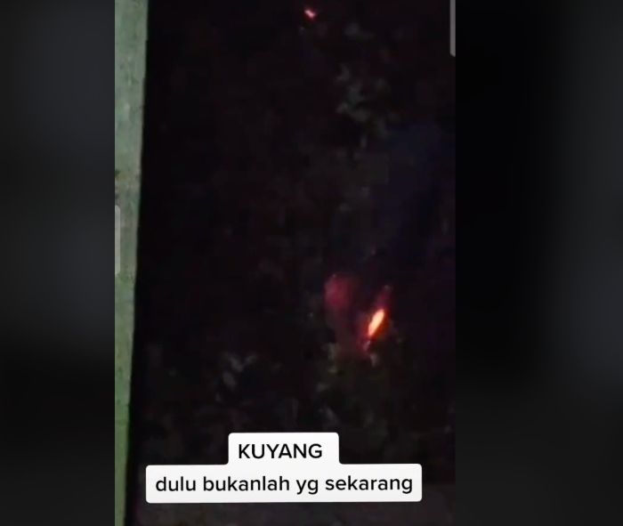 Detail Foto Hantu Api Nomer 43