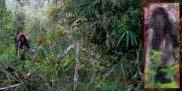 Detail Foto Hantu Di Kalimantan Nomer 7