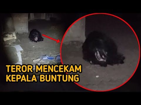 Detail Foto Hantu Kepala Buntung Nomer 9