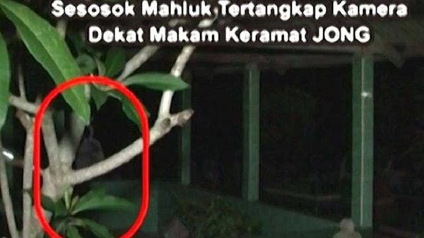 Detail Foto Hantu Nyata Yang Tertangkap Kamera Nomer 41