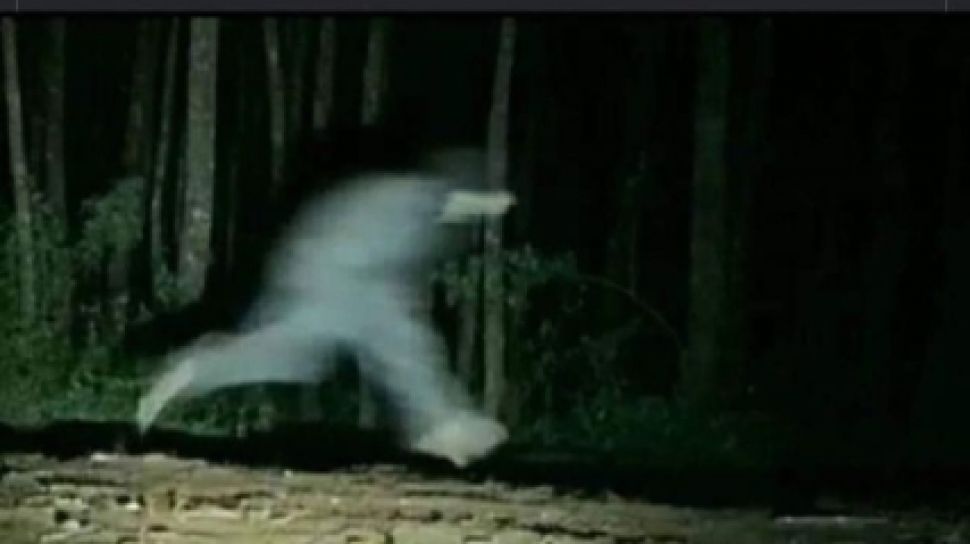 Detail Foto Hantu Seram Dan Asli Nomer 27