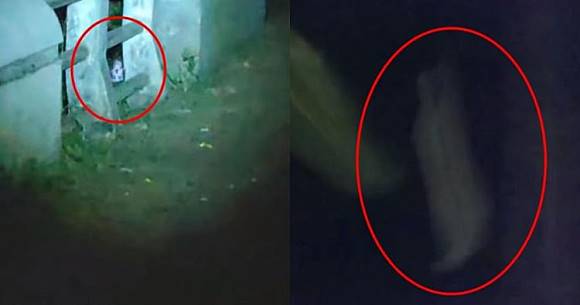 Detail Foto Hantu Tertangkap Kamera Nomer 42