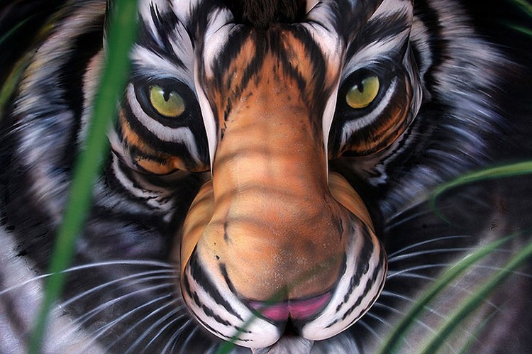 Detail Foto Harimau Keren Nomer 17