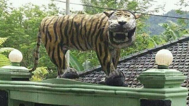 Detail Foto Harimau Lucu Nomer 12