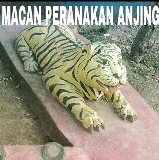 Detail Foto Harimau Lucu Nomer 21