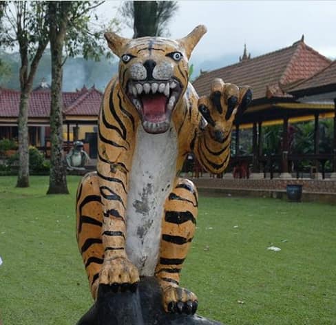 Detail Foto Harimau Lucu Nomer 10