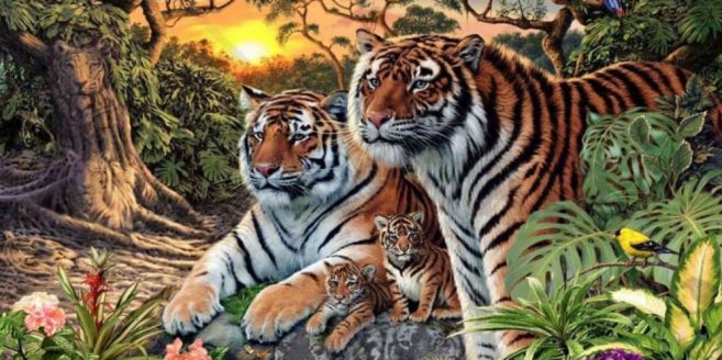 Detail Foto Harimau Seram Nomer 28