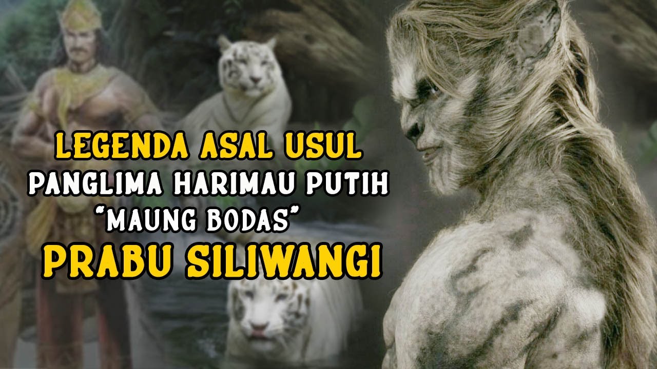 Detail Foto Harimau Siliwangi Nomer 35